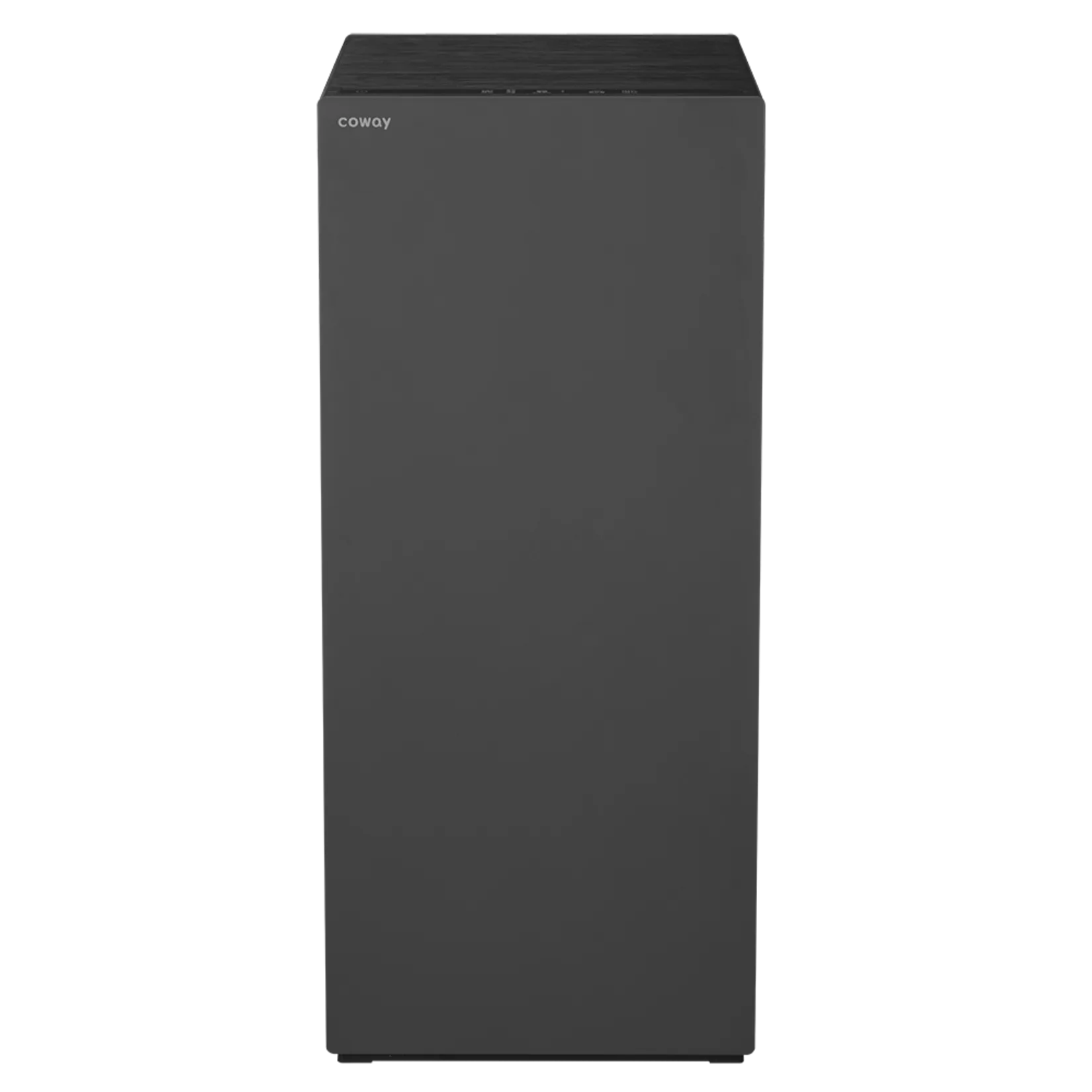 Coway Atrium in Pebble Gray — AP-3525I